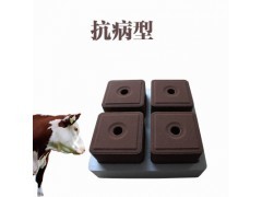 鋤禾日當午 葉菜種植與畜牧漁業飼料的農業協同發展
