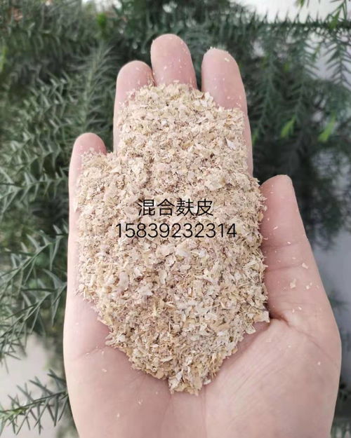 廠家直銷全國發貨 畜牧養殖飼料用小麥麩皮，為雞鴨魚水產牛羊豬養殖提供優質營養